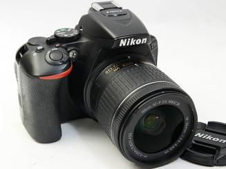 D5600 AF-P18-55